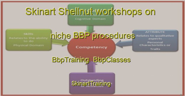 Skinart Shellnut workshops on niche BBP procedures | BbpTraining | BbpClasses | SkinartTraining-United States