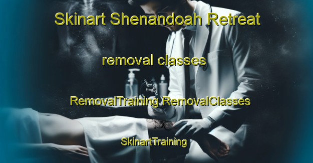 Skinart Shenandoah Retreat removal classes | #RemovalTraining #RemovalClasses #SkinartTraining-United States