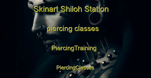 Skinart Shiloh Station piercing classes | #PiercingTraining #PiercingClasses #SkinartTraining-United States