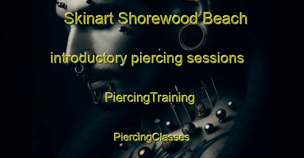 Skinart Shorewood Beach introductory piercing sessions | #PiercingTraining #PiercingClasses #SkinartTraining-United States