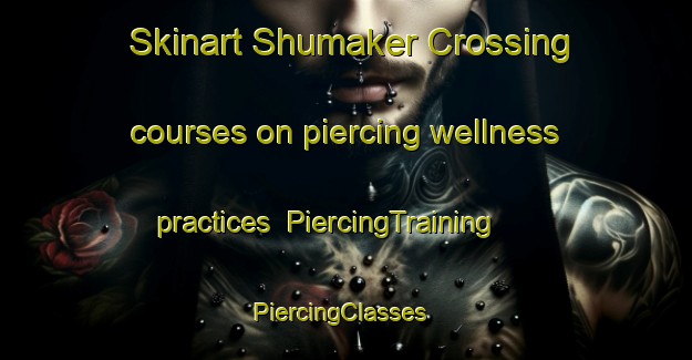 Skinart Shumaker Crossing courses on piercing wellness practices | PiercingTraining | PiercingClasses | SkinartTraining-United States
