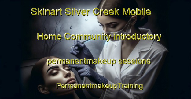 Skinart Silver Creek Mobile Home Community introductory permanentmakeup sessions | #PermanentmakeupTraining #PermanentmakeupClasses #SkinartTraining-United States