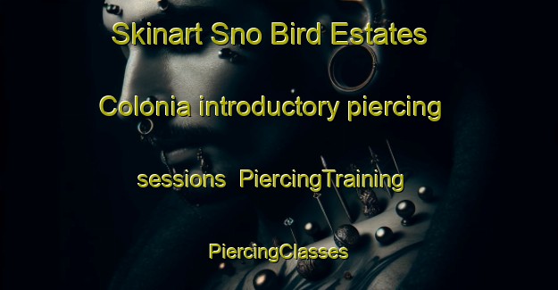 Skinart Sno Bird Estates Colonia introductory piercing sessions | #PiercingTraining #PiercingClasses #SkinartTraining-United States