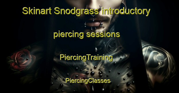 Skinart Snodgrass introductory piercing sessions | PiercingTraining | PiercingClasses | SkinartTraining-United States