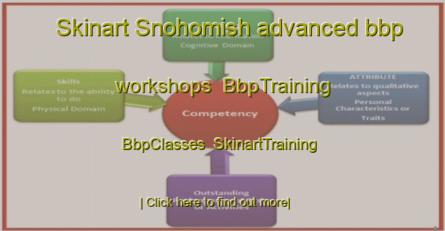 Skinart Snohomish advanced bbp workshops | BbpTraining | BbpClasses | SkinartTraining-United States