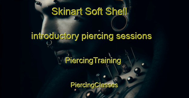 Skinart Soft Shell introductory piercing sessions | #PiercingTraining #PiercingClasses #SkinartTraining-United States