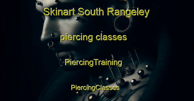 Skinart South Rangeley piercing classes | PiercingTraining | PiercingClasses | SkinartTraining-United States