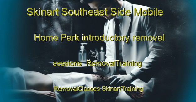 Skinart Southeast Side Mobile Home Park introductory removal sessions | #RemovalTraining #RemovalClasses #SkinartTraining-United States