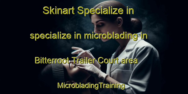 Skinart Specialize in specialize in microblading in Bitterroot Trailer Court area | MicrobladingTraining | MicrobladingClasses | SkinartTraining-United States
