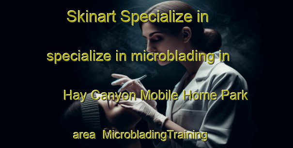 Skinart Specialize in specialize in microblading in Hay Canyon Mobile Home Park area | MicrobladingTraining | MicrobladingClasses | SkinartTraining-United States