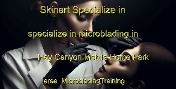 Skinart Specialize in specialize in microblading in Hay Canyon Mobile Home Park area | MicrobladingTraining | MicrobladingClasses | SkinartTraining-United States