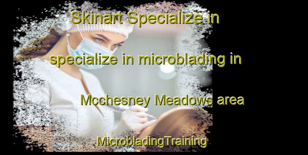 Skinart Specialize in specialize in microblading in Mcchesney Meadows area | #MicrobladingTraining #MicrobladingClasses #SkinartTraining-United States