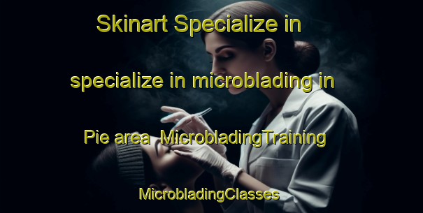 Skinart Specialize in specialize in microblading in Pie area | MicrobladingTraining | MicrobladingClasses | SkinartTraining-United States