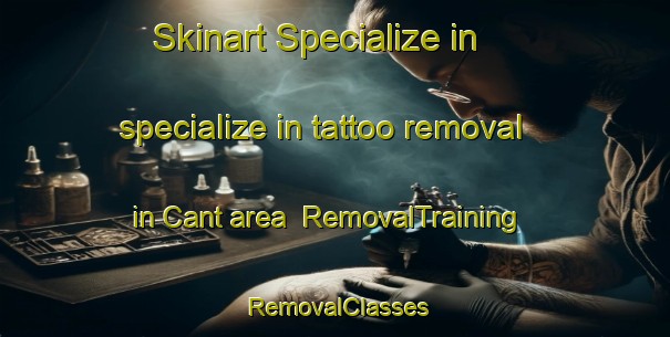 Skinart Specialize in specialize in tattoo removal in Cant area | RemovalTraining | RemovalClasses | SkinartTraining-United States