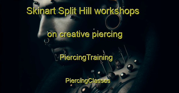 Skinart Split Hill workshops on creative piercing | PiercingTraining | PiercingClasses | SkinartTraining-United States