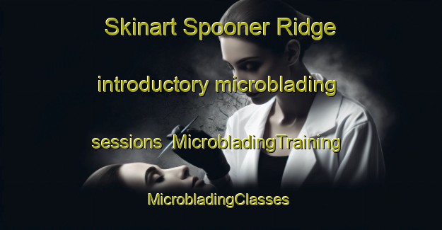 Skinart Spooner Ridge introductory microblading sessions | MicrobladingTraining | MicrobladingClasses | SkinartTraining-United States