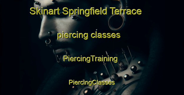 Skinart Springfield Terrace piercing classes | #PiercingTraining #PiercingClasses #SkinartTraining-United States