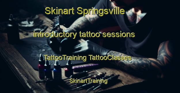 Skinart Springsville introductory tattoo sessions | #TattooTraining #TattooClasses #SkinartTraining-United States