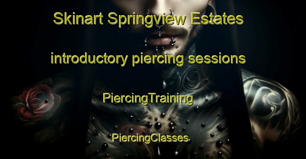 Skinart Springview Estates introductory piercing sessions | PiercingTraining | PiercingClasses | SkinartTraining-United States