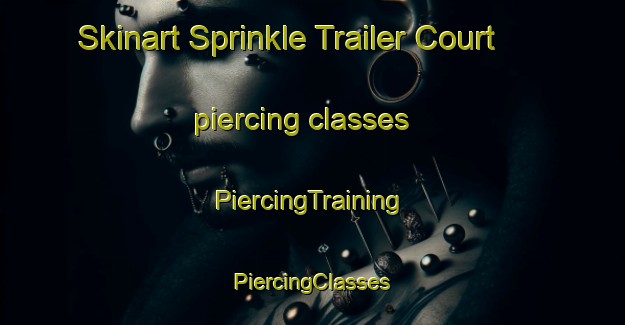 Skinart Sprinkle Trailer Court piercing classes | #PiercingTraining #PiercingClasses #SkinartTraining-United States