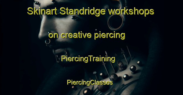 Skinart Standridge workshops on creative piercing | PiercingTraining | PiercingClasses | SkinartTraining-United States