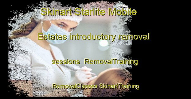 Skinart Starlite Mobile Estates introductory removal sessions | #RemovalTraining #RemovalClasses #SkinartTraining-United States