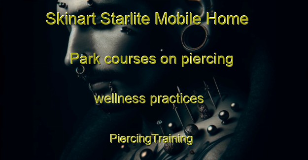 Skinart Starlite Mobile Home Park courses on piercing wellness practices | #PiercingTraining #PiercingClasses #SkinartTraining-United States