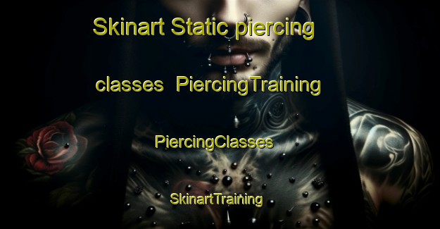 Skinart Static piercing classes | PiercingTraining | PiercingClasses | SkinartTraining-United States