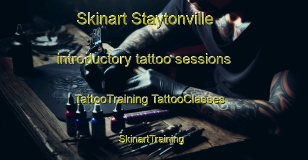 Skinart Staytonville introductory tattoo sessions | #TattooTraining #TattooClasses #SkinartTraining-United States