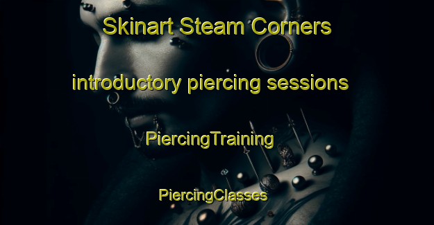 Skinart Steam Corners introductory piercing sessions | PiercingTraining | PiercingClasses | SkinartTraining-United States