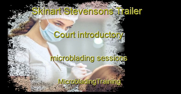 Skinart Stevensons Trailer Court introductory microblading sessions | #MicrobladingTraining #MicrobladingClasses #SkinartTraining-United States