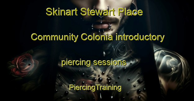 Skinart Stewart Place Community Colonia introductory piercing sessions | #PiercingTraining #PiercingClasses #SkinartTraining-United States