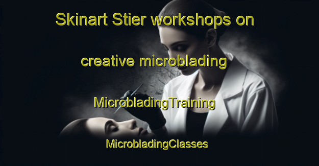 Skinart Stier workshops on creative microblading | MicrobladingTraining | MicrobladingClasses | SkinartTraining-United States