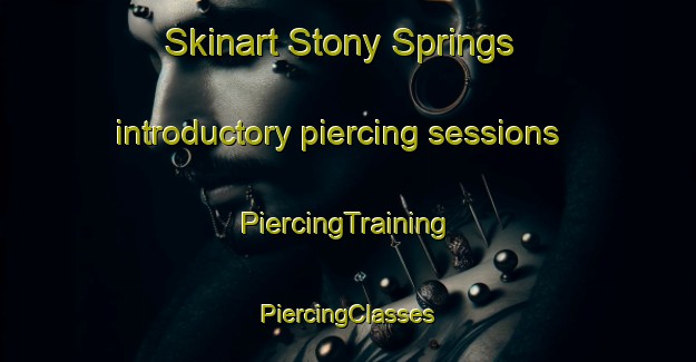 Skinart Stony Springs introductory piercing sessions | #PiercingTraining #PiercingClasses #SkinartTraining-United States