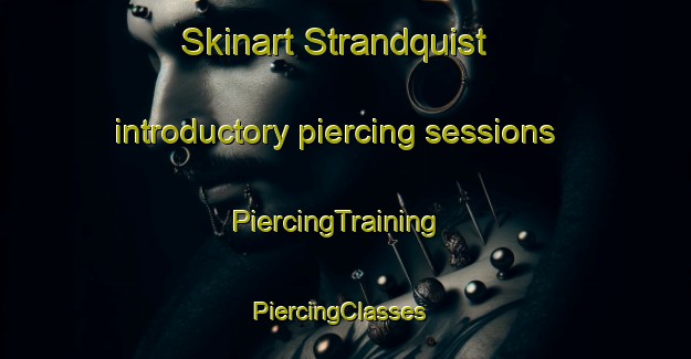 Skinart Strandquist introductory piercing sessions | PiercingTraining | PiercingClasses | SkinartTraining-United States