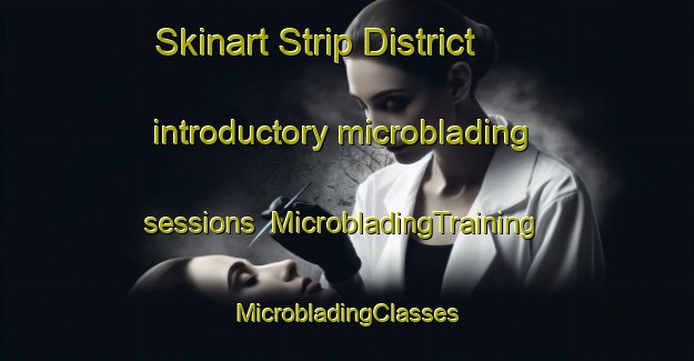 Skinart Strip District introductory microblading sessions | #MicrobladingTraining #MicrobladingClasses #SkinartTraining-United States