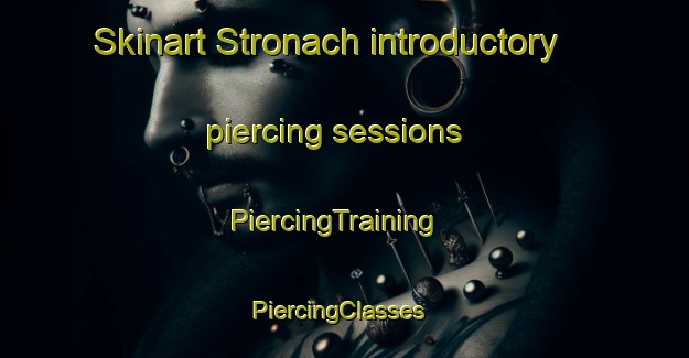 Skinart Stronach introductory piercing sessions | PiercingTraining | PiercingClasses | SkinartTraining-United States