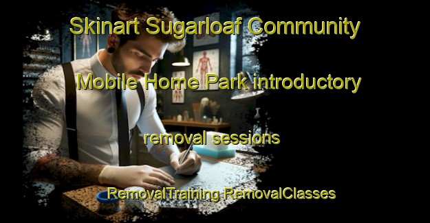 Skinart Sugarloaf Community Mobile Home Park introductory removal sessions | #RemovalTraining #RemovalClasses #SkinartTraining-United States