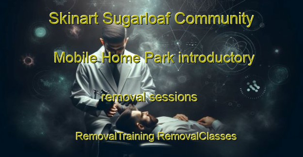 Skinart Sugarloaf Community Mobile Home Park introductory removal sessions | #RemovalTraining #RemovalClasses #SkinartTraining-United States