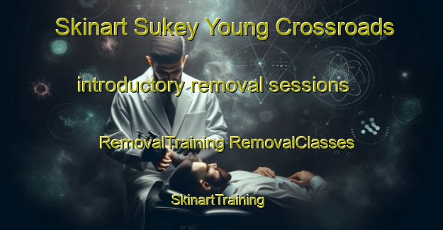 Skinart Sukey Young Crossroads introductory removal sessions | #RemovalTraining #RemovalClasses #SkinartTraining-United States