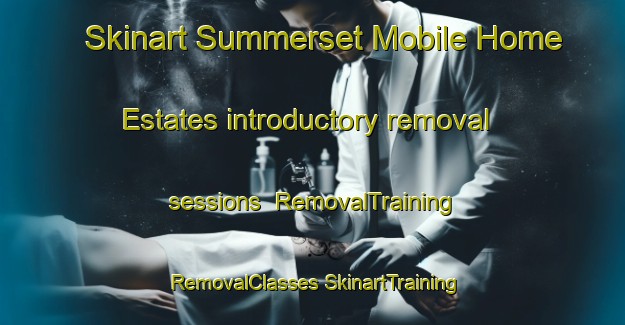 Skinart Summerset Mobile Home Estates introductory removal sessions | #RemovalTraining #RemovalClasses #SkinartTraining-United States