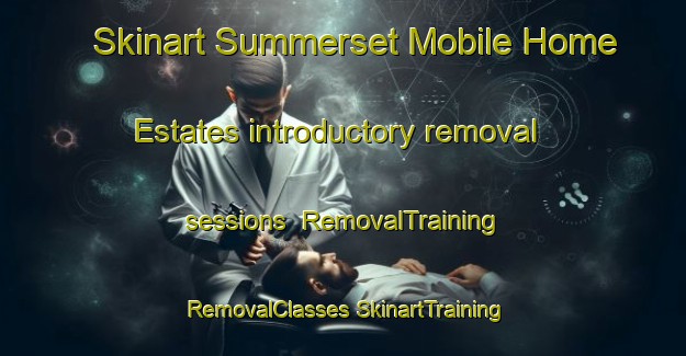 Skinart Summerset Mobile Home Estates introductory removal sessions | #RemovalTraining #RemovalClasses #SkinartTraining-United States