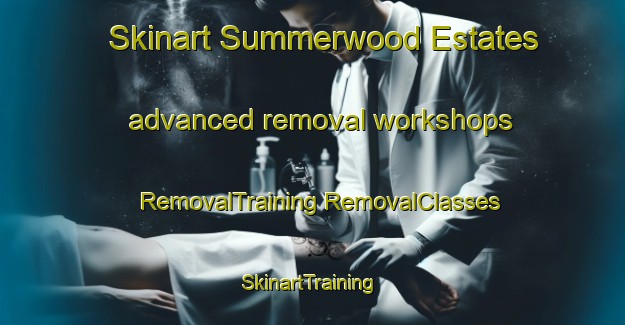 Skinart Summerwood Estates advanced removal workshops | #RemovalTraining #RemovalClasses #SkinartTraining-United States