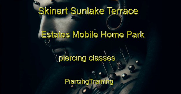 Skinart Sunlake Terrace Estates Mobile Home Park piercing classes | #PiercingTraining #PiercingClasses #SkinartTraining-United States