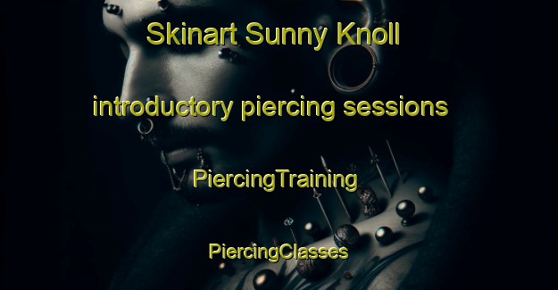 Skinart Sunny Knoll introductory piercing sessions | #PiercingTraining #PiercingClasses #SkinartTraining-United States