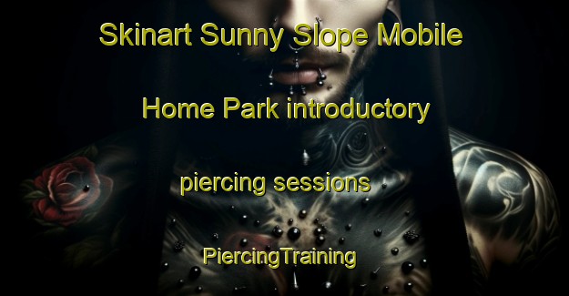 Skinart Sunny Slope Mobile Home Park introductory piercing sessions | #PiercingTraining #PiercingClasses #SkinartTraining-United States