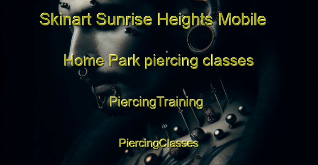 Skinart Sunrise Heights Mobile Home Park piercing classes | #PiercingTraining #PiercingClasses #SkinartTraining-United States