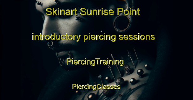 Skinart Sunrise Point introductory piercing sessions | #PiercingTraining #PiercingClasses #SkinartTraining-United States