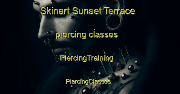 Skinart Sunset Terrace piercing classes | PiercingTraining | PiercingClasses | SkinartTraining-United States