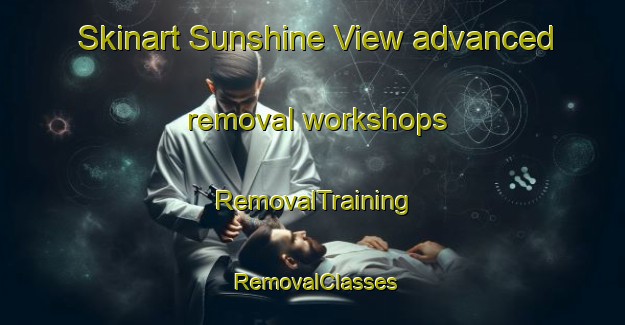 Skinart Sunshine View advanced removal workshops | RemovalTraining | RemovalClasses | SkinartTraining-United States